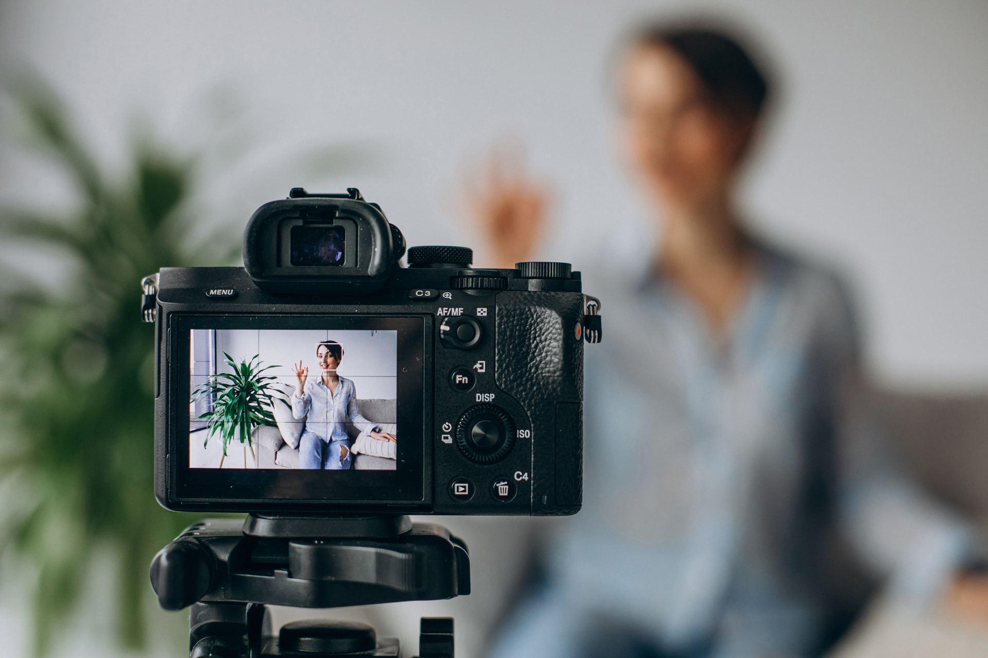 Camera recording a person on a sofa near a plant, with the subject in focus on the display screen.