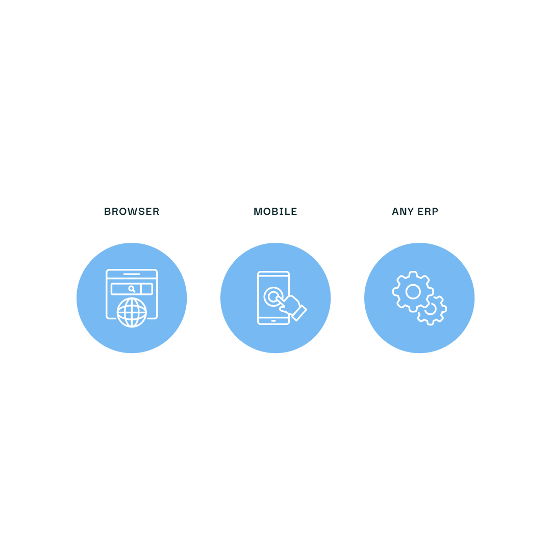Icons representing access via browser, mobile, and any ERP system, each in a blue circle.